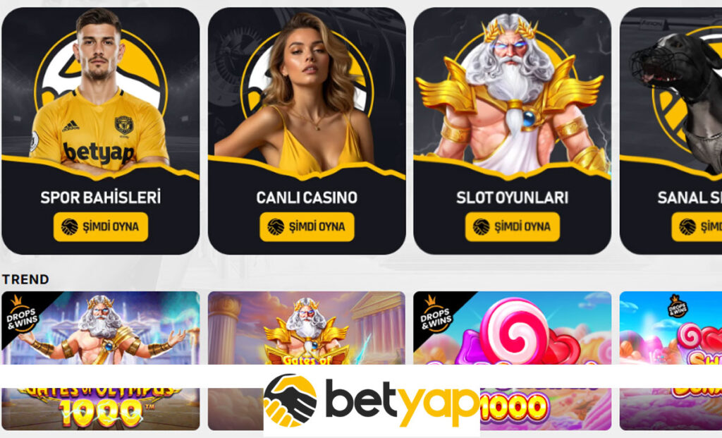 Casino oyun terimleri hakkında slot canlı casino ve masa oyunları rehberi