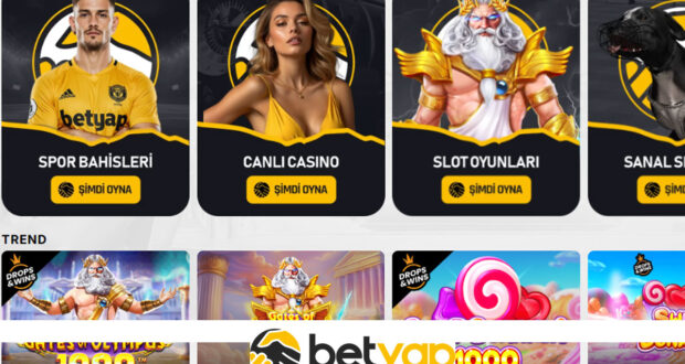 Casino oyun terimleri hakkında slot canlı casino ve masa oyunları rehberi